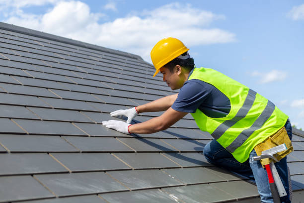Best Roof Repair Services  in Wapello, IA