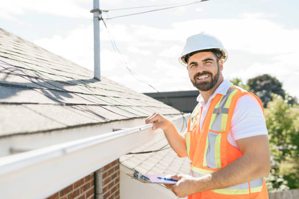 Best Local Roofing Companies  in Wapello, IA