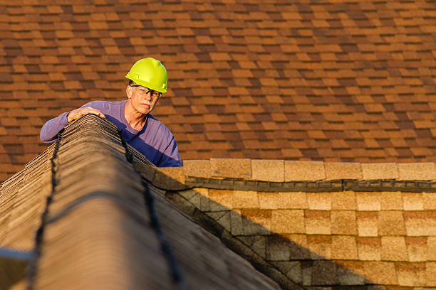 Best Roof Maintenance Services  in Wapello, IA