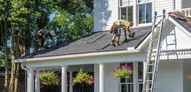 Best Residential Roofing Contractor  in Wapello, IA