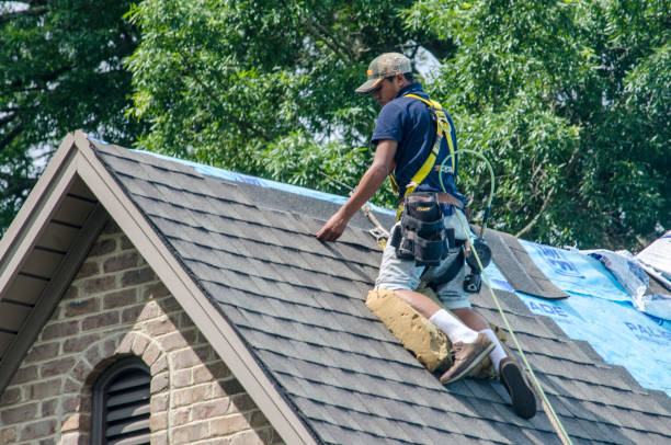 Best Best Roofing Contractors  in Wapello, IA